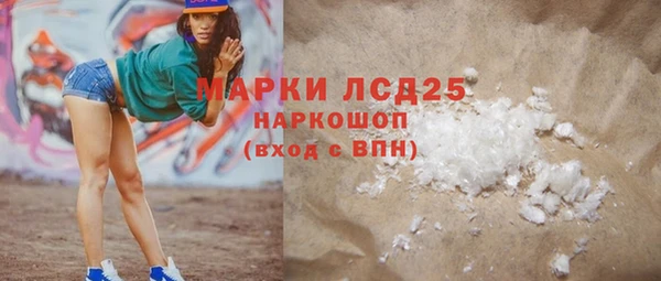 стаф Богданович