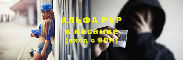 стафф Беломорск