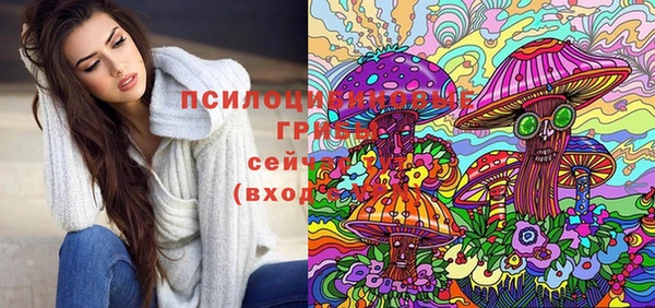 винт Богородск
