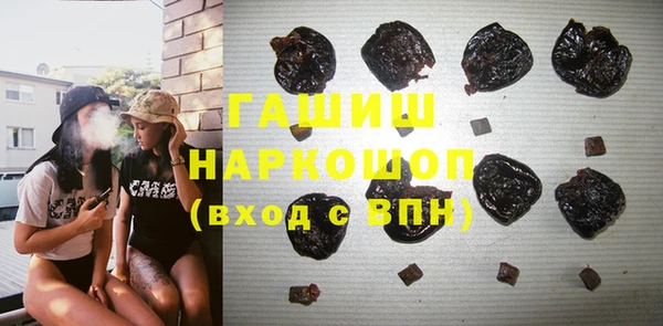 стаф Богданович