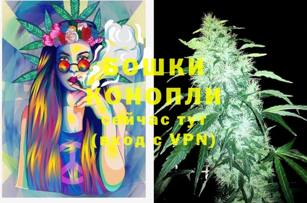 кокаин Белокуриха