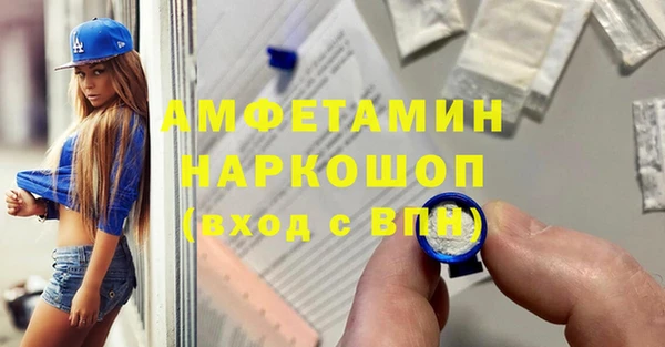 стаф Богданович