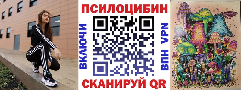 дарнет шоп  Козьмодемьянск  Галлюциногенные грибы прущие грибы 