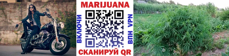 наркота darknet официальный сайт Конопля гибрид Козьмодемьянск